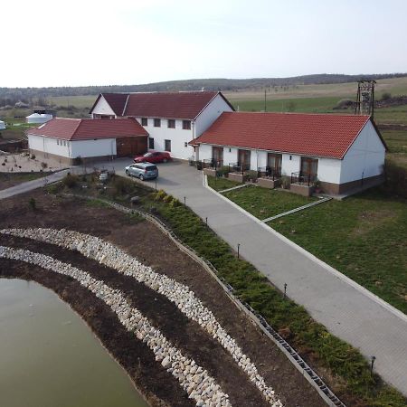 Bed and Breakfast Alsoszuha Lovas Vendeghaz Zewnętrze zdjęcie